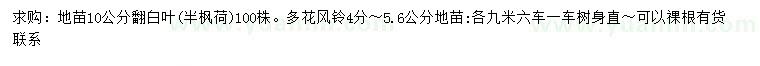 求購10公分翻白葉、4-5.6公分多花風(fēng)鈴