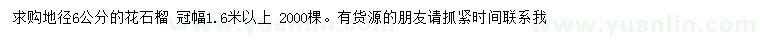 求購(gòu)地徑6公分花石榴