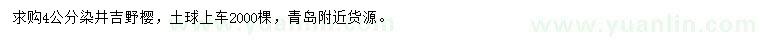 求購4公分染井吉野櫻