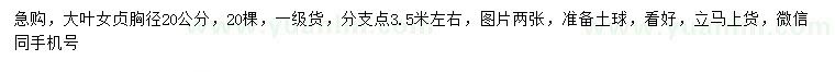求購胸徑20公分大葉女貞