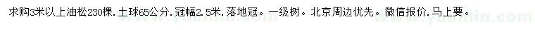 求購(gòu)3米以上油松