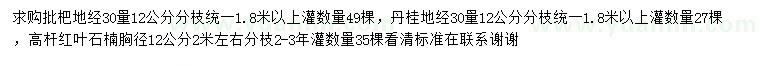 求購批杷、丹桂、高桿紅葉石楠