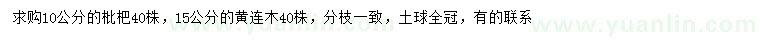求購10公分枇杷、15公分黃連木