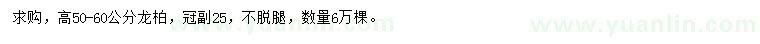 求購高50-60公分龍柏