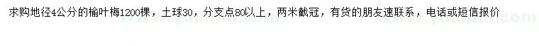 求購地徑4公分榆葉梅