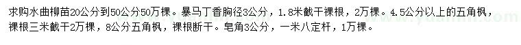 求購水曲柳苗、暴馬丁香、五角楓等
