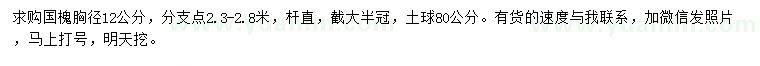 求購胸徑12公分國槐
