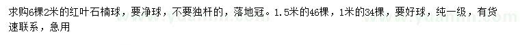 求購(gòu)1、1.5、2米紅葉石楠球