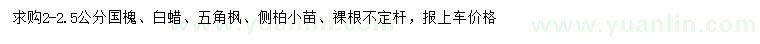 求購國槐、白蠟、五角楓等