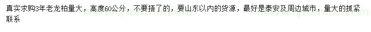 求購(gòu)高60公分老龍柏
