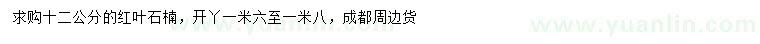 求購12公分紅葉石楠