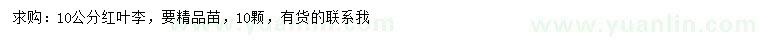 求購10公分紅葉李