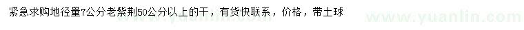 求購地徑量7公分老紫荊