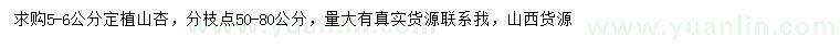 求購(gòu)5-6公分山杏