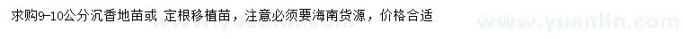 求購9-10公分沉香地苗