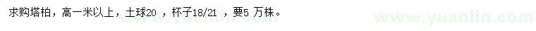 求購(gòu)高1米塔柏