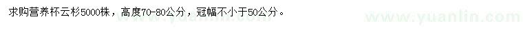 求購高70-80公分云杉