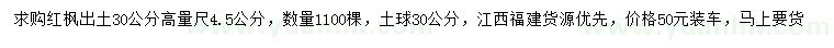 求購高30公分量4.5公分紅楓