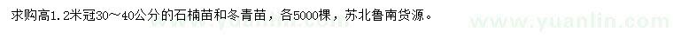 求購(gòu)高1.2米石楠苗