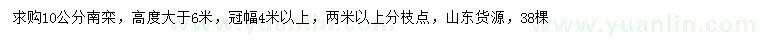 求購10公分南欒