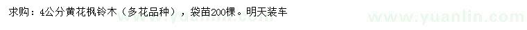 求購(gòu)4公分黃花楓鈴木