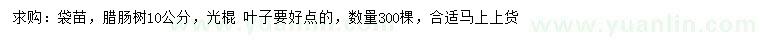 求購10公分臘腸樹