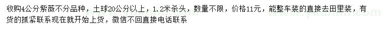 求購4公分紫薇