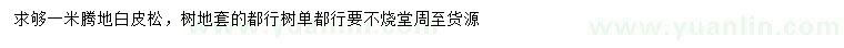 求購(gòu)1米白皮松
