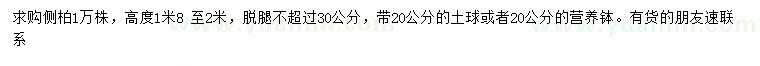 求購高度1.8-2米側柏
