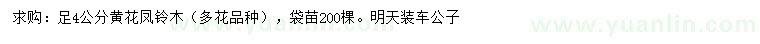 求購足4公分鳳鈴木