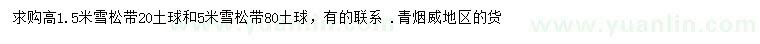 求購(gòu)高1.5、5米雪松