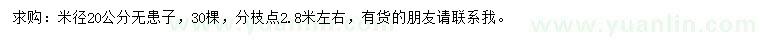 求購米徑20公分無患子
