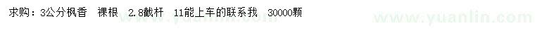 求購3公分楓香