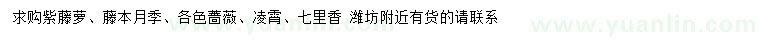 求購紫藤蘿、藤本月季、各色薔薇等