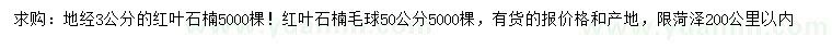 求購(gòu)地徑3公分紅葉石楠、50公分紅葉石楠毛球
