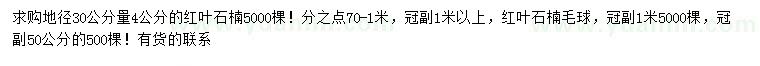 求購地徑30公分量4公分紅葉石楠、冠幅50、100公分紅葉石楠毛球