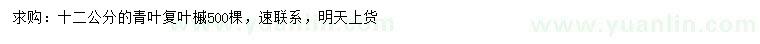 求購(gòu)12公分青葉復(fù)葉槭