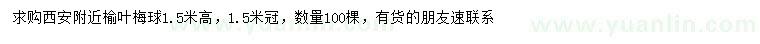 求購高1.5米榆葉梅球