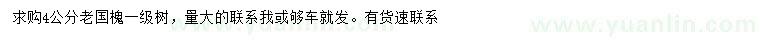求購4公分老國槐