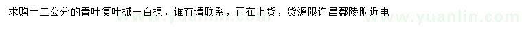 求購12公分青葉復(fù)葉槭