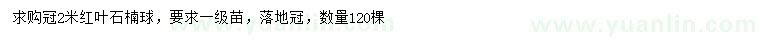 求購冠幅2米紅葉石楠球