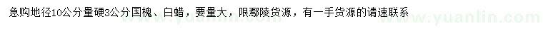 求購(gòu)地徑10公分量硬3公分國(guó)槐、白蠟