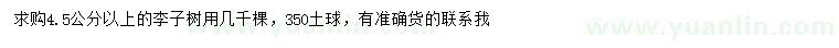 求購4.5公分以上李子樹