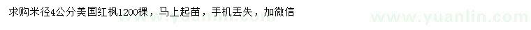 求購米徑4公分美國紅楓