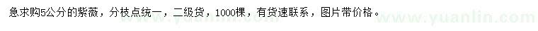 求購5公分紫薇