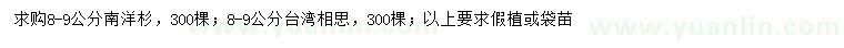 求購8-9公分南洋杉、8-9公分臺灣相思