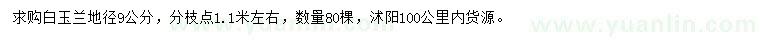 求購地徑9公分白玉蘭