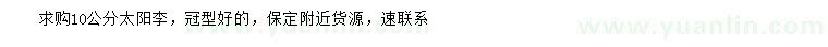 求購10公分太陽李