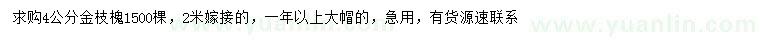 求購(gòu)4公分金枝槐