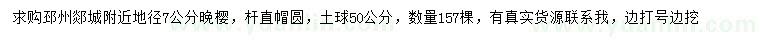 求購地徑7公分晚櫻